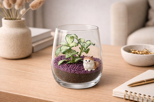 Rastlinné terárium malé fialové